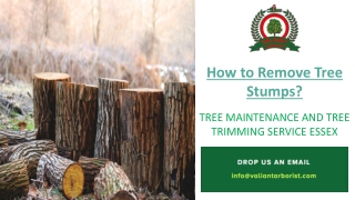 How to remove tree stump