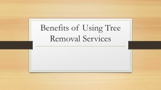 Benefits of Using Tree Removal Services