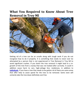 What You Need to Know About Tree Removal in Troy MI