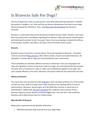 Is Bravecto Safe For Dogs?