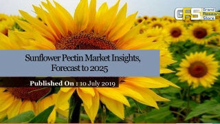  Sunflower pectin Market report
