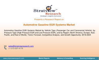 Automotive Gasoline EGR System Market