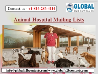 Animal Hospital Mailing Lists