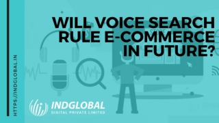 Will Voice Search Rule e-Commerce in Future?