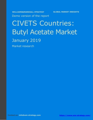 WMStrategy Demo CIVETS Countries Butyl Acetate Market January 2019