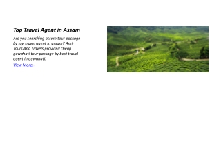 Top Travel Agent in Assam