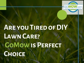 Tired of DIY Lawn Care? GoMow Lawn Care Austin is Perfect Choice....