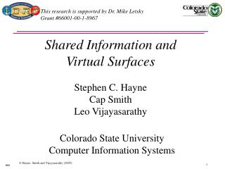 Shared Information and Virtual Surfaces Stephen C. Hayne Cap Smith Leo Vijayasarathy