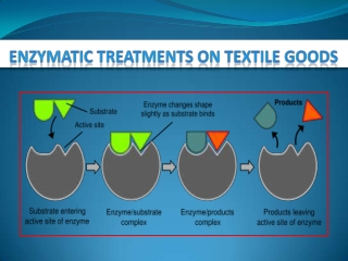 ENZYMATIC TREATMENTS ON TEXTILE GOODS