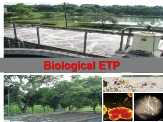 Biological ETP