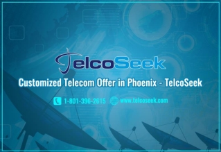 Best Customized Telecom Offer online by TelcoSeek in the Phoenix