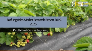 Biofungicides market research report 2019 2025