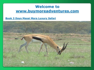 Book 3 Days Masai Mara Luxury Safari