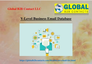 V Level Business Email Database