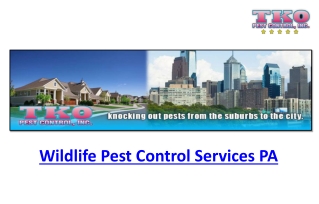 Wildlife Pest Control Services PA