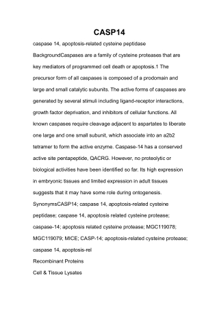 caspase 14, apoptosis-related cysteine peptidase