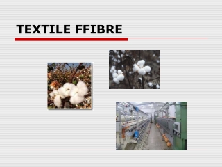 Textile Fibre