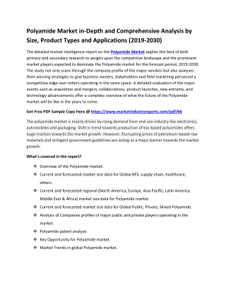 Polyamide Market in-Depth and Comprehensive Analysis by Size, Product Types and Applications (2019-2030)