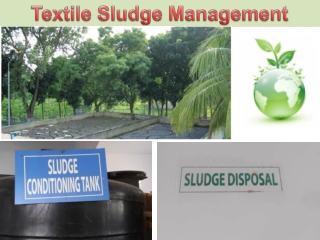 Textile sludge management