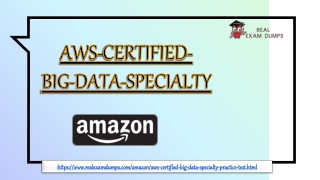 AWS-CERTIFIED-BIG-DATA-SPECIALTY Exam Dumps - RealExamDumps.com