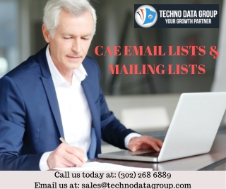 CAE Email Lists & Mailing Lists | Chief Audit Executive Email List in USA