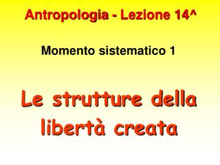 Antropologia - Lezione 14^