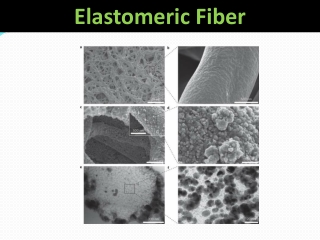 Elastomeric Fiber