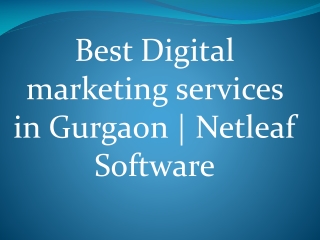 Best Digital marketing services in Gurgaon | Netleaf Software