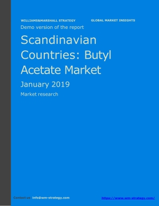 WMStrategy Demo Scandinavian Countries Butyl Acetate Market January 2019