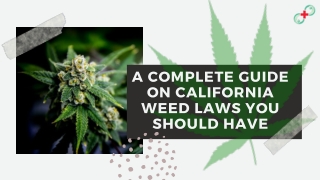 A Complete Guide on California Weed Laws You Should Have