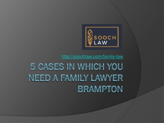 5 Cases In Which You Need A Family Lawyer Brampton