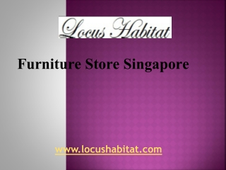 Furniture Store Singapore - Locus Habitat
