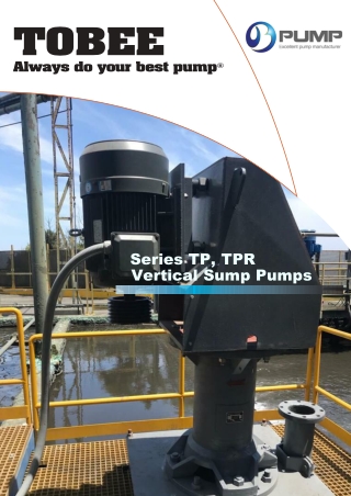 Tobee® Warman Equivalent Vertical Slurry Pumps