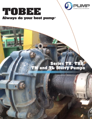 Tobee® Warman Equivalent Slurry Pumps