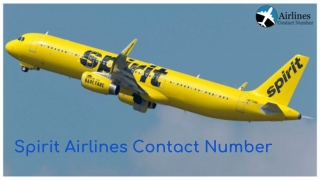 Spirit Airlines Contact Number