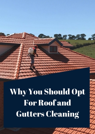 Why You Should Opt For Roof and Gutters Cleaning