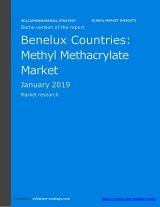 WMStrategy Demo Benelux Countries Methyl Methacrylate Market January 2019
