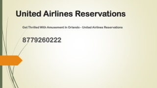 Get Thrilled With Amusement In Orlando - United Airlines Reservations