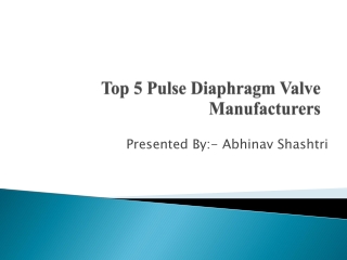 Top 5 Pulse Diaphragm Valve Manufacturers