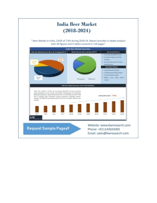 India Beer Market (2018-2024)