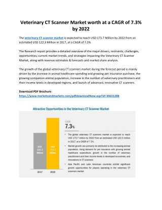 Veterinary CT Scanner Market worth at a CAGR of 7.3% by 2022