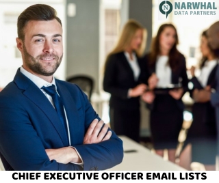 Chief executive officers email list