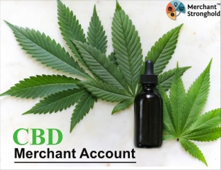 Merchant Account Approval for CBD Businesses