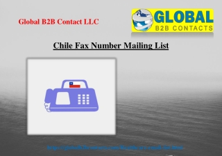 Chile Fax Number Mailing List