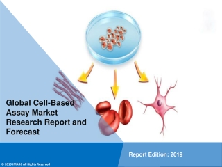 Cell Based Assay Market is Set for Strong Growth, To Reach US$ 23 Billion by 2024