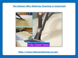 Mattress Cleaning Services in SW6