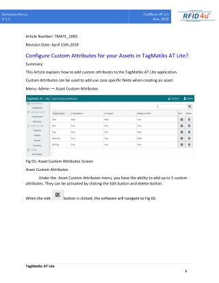 Configure Custom Attributes for your Assets