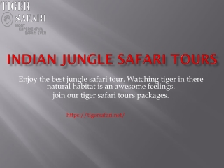 Indian jungle safari tours- Tiger safari