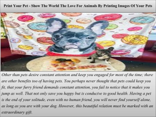 Print Your Pet - Show The World The Love For Animals By Printing Images Of Your Pets