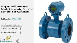 Magnetic Flowmeters Market Analysis, Growth Drivers, Forecast 2025